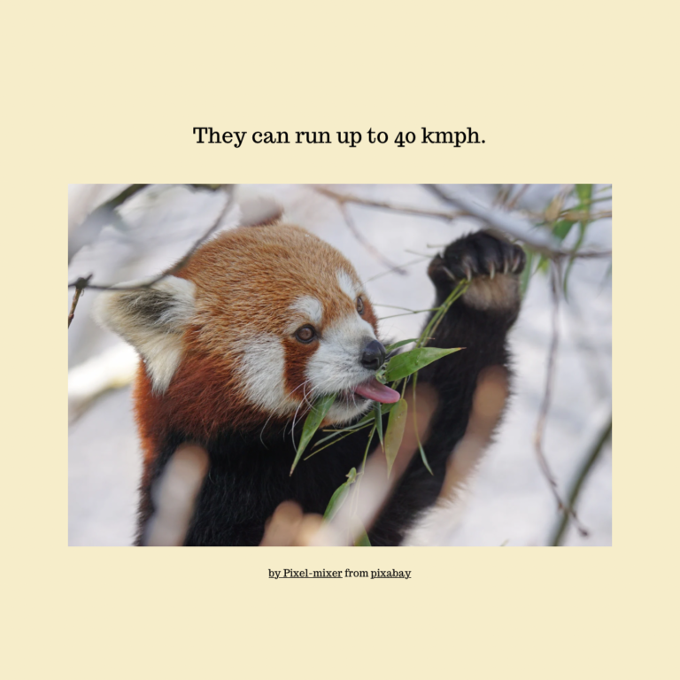 3D692E6A-60CA-4F12-AA33-F8731AFC20A2