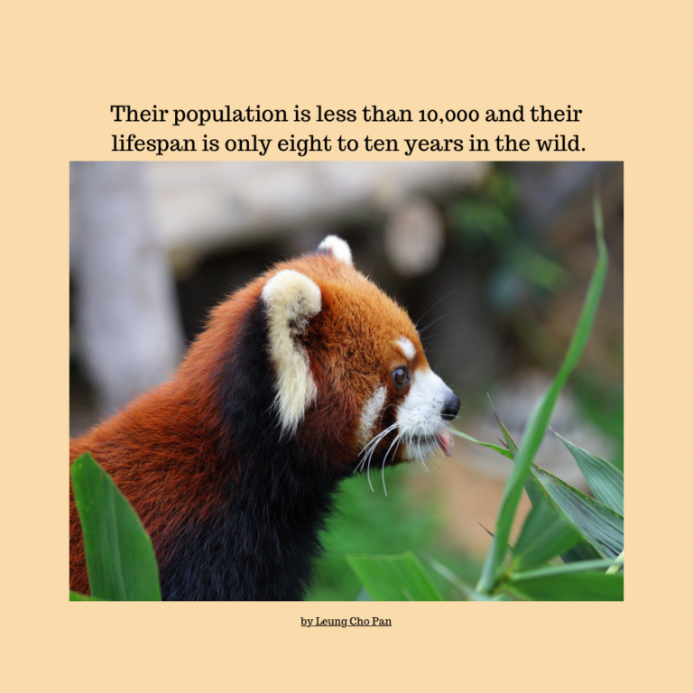 96A14964-FB0B-4DE9-A513-32F3473D26CC