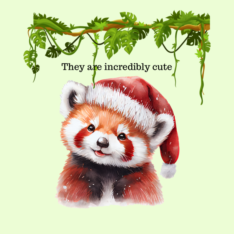 A913E009-BDD5-4D83-B991-F0DE466C6733