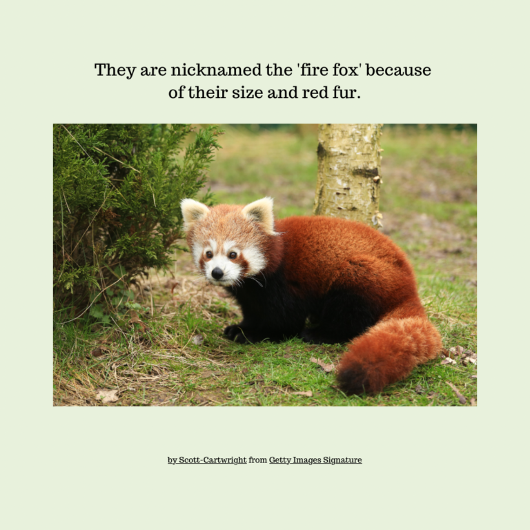 B8663318-07DD-4432-B2C3-77CA4C986C06