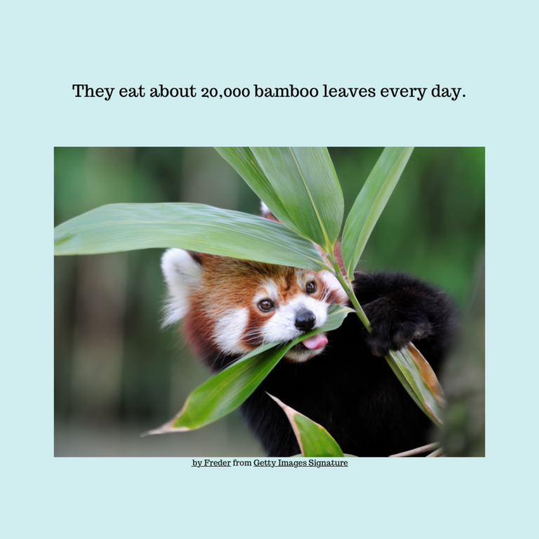 C2A2FB11-0962-4EE2-BF5C-F20AA873C90F