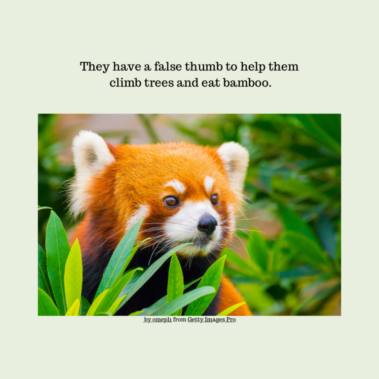 CFA031F4-114E-458C-9B5C-A5C737B7B60B