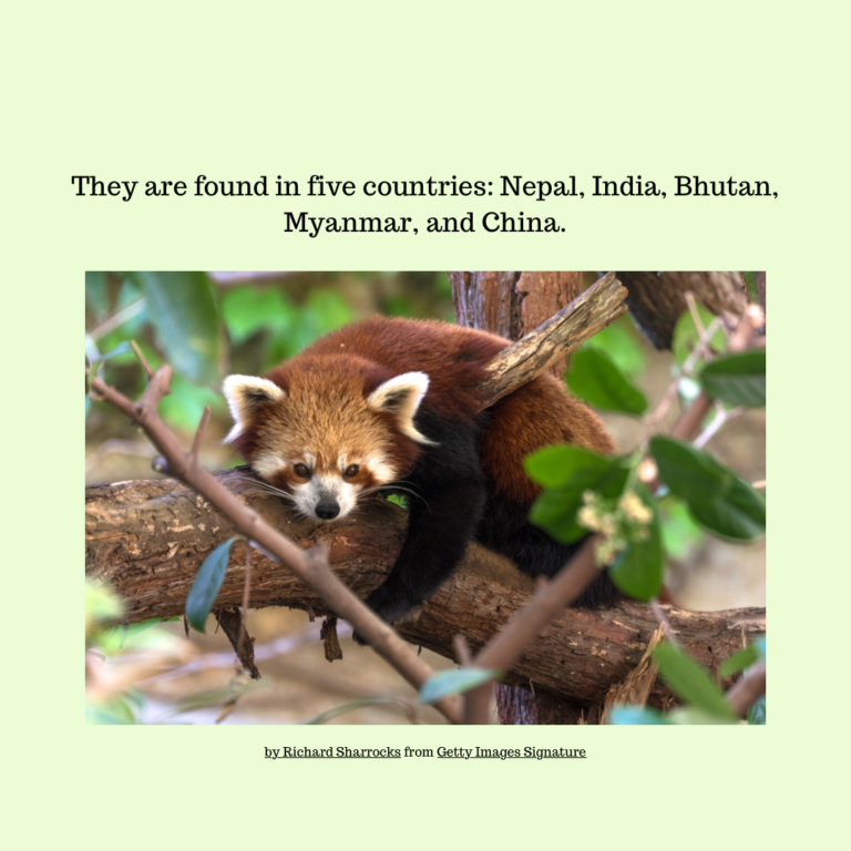 DC464E0C-EB05-4CA9-B363-28A39FA1323E