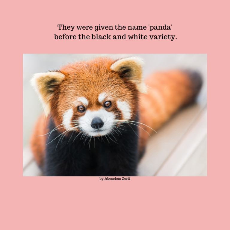 E230BB11-DF84-4E6A-ACF6-748266F34C11