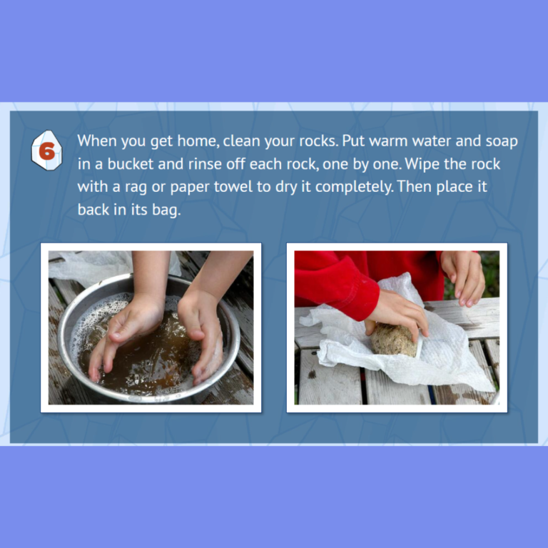 START A ROCK COLLECTION (6)