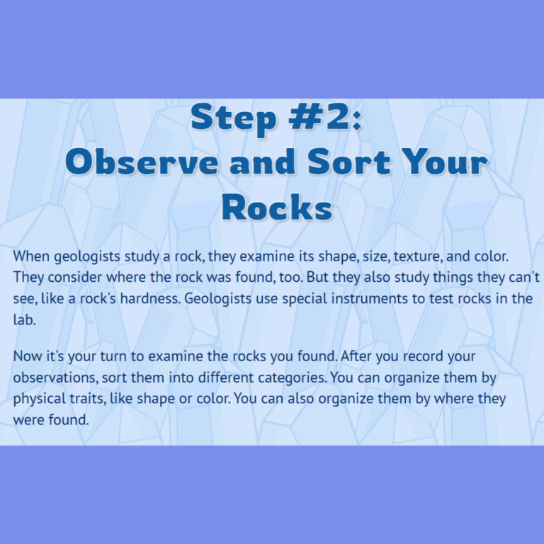 START A ROCK COLLECTION (7)