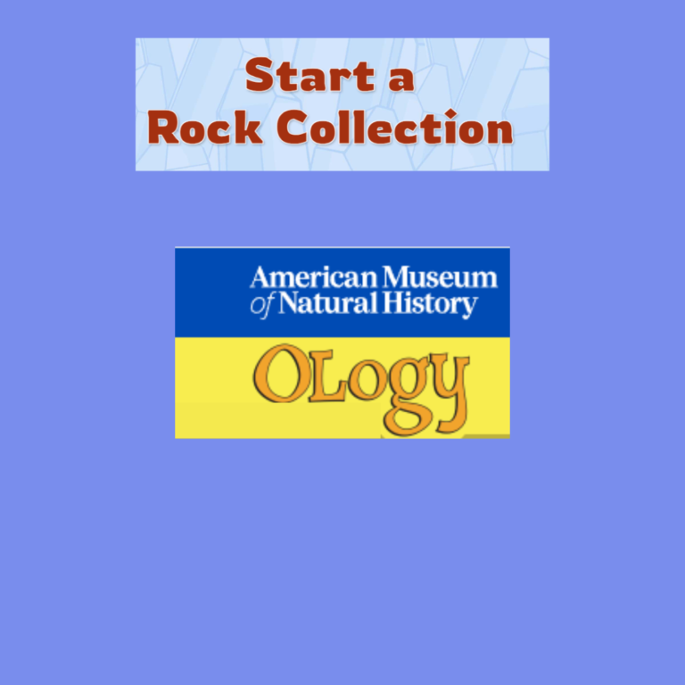 START-A-ROCK-COLLECTION
