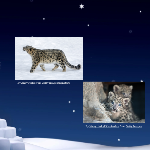 230FCA78-2DB3-48C2-A7B9-A1A692EF3E26