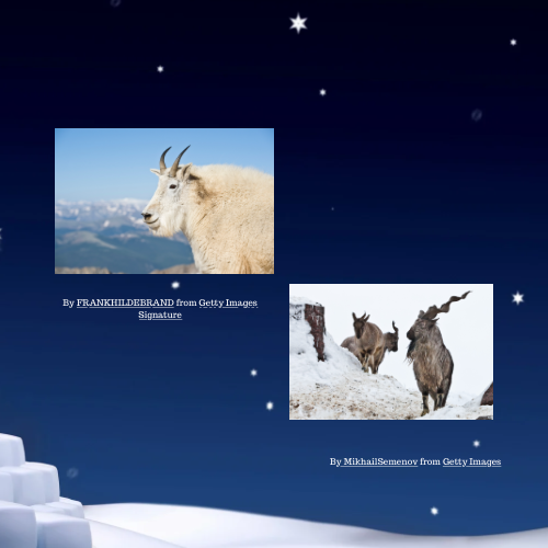 80A0EDFC-23D2-40FF-BA94-C72E28D0C63C