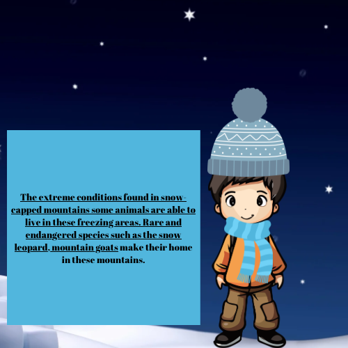 CCC8044A-3CB5-4327-940E-A188F9B8D84E