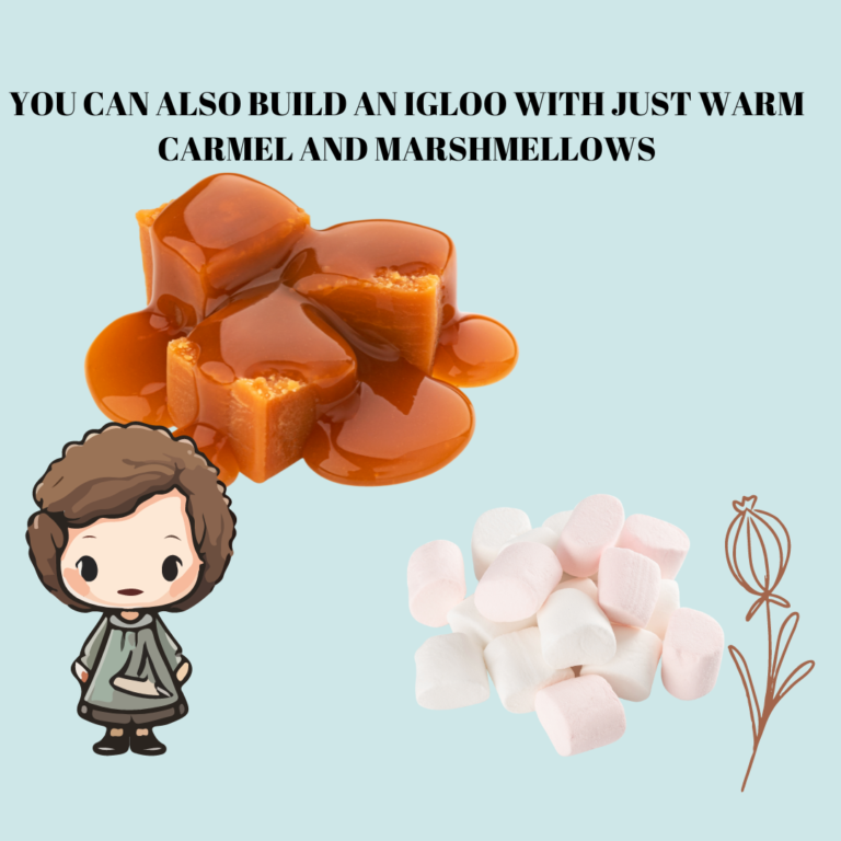 _build a sweet igloo (6)