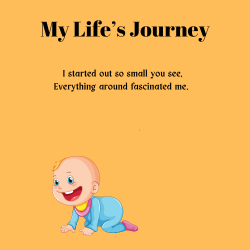 My life's journey (1)