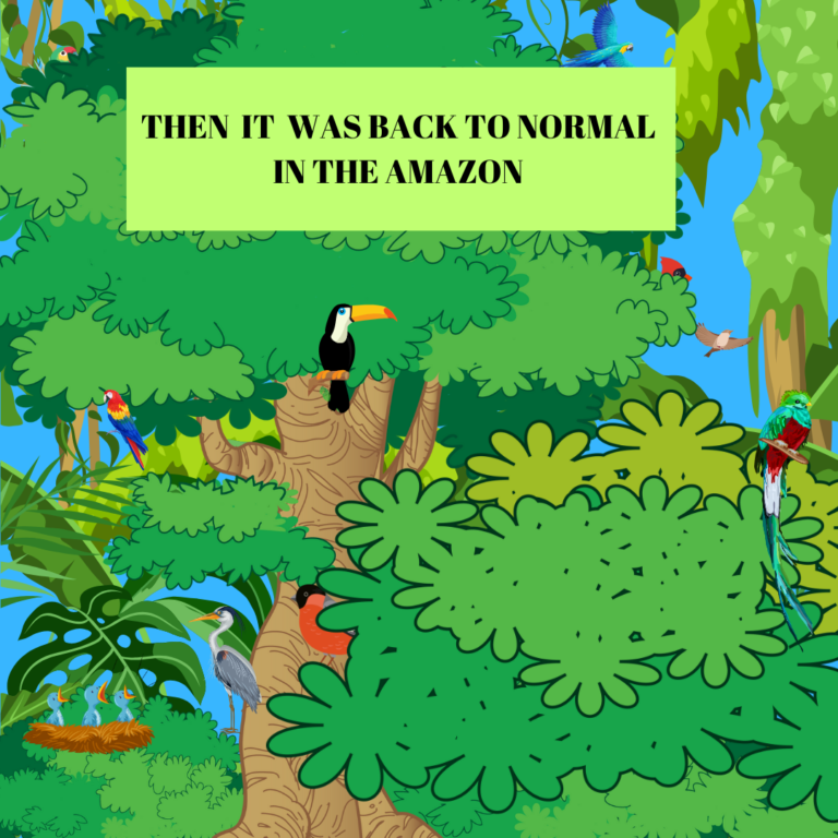 The Amazon Full of Delightful Things (5)