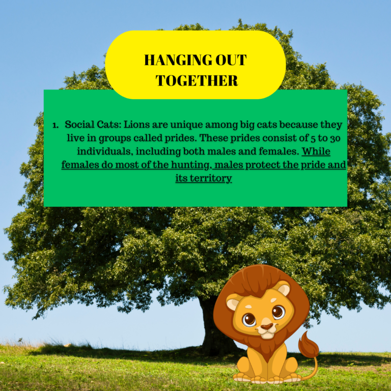 FUN GFACTS ABOUT LIONS (1)