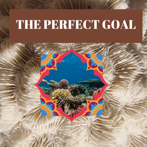 THE PERFECT GOAL